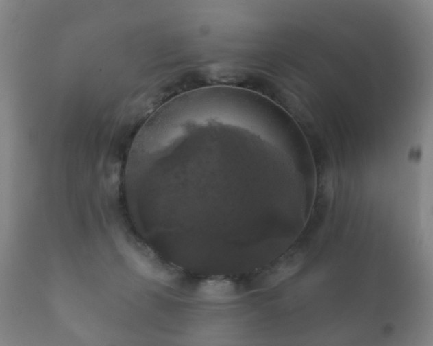 X0000112350271200908201446