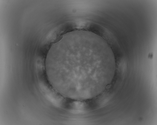 X0000112350272200908201447