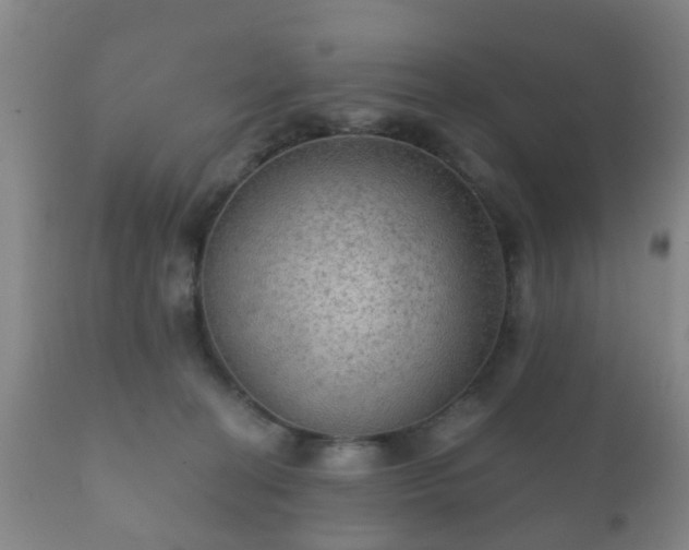 X0000112350274200908201447