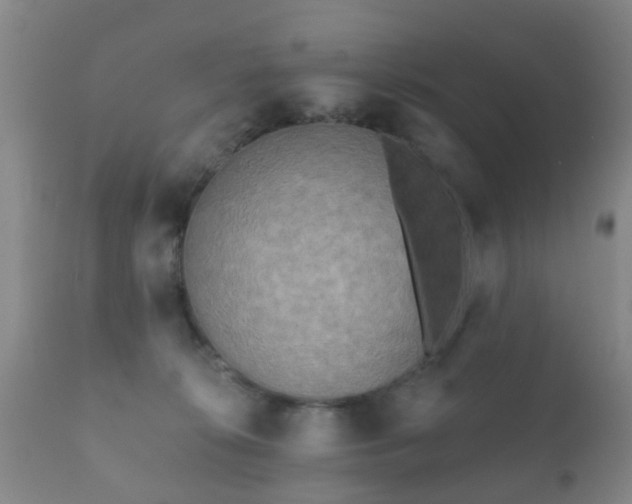 X0000112350276200908201447