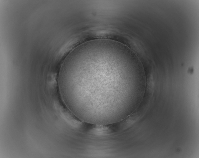 X0000112350278200908201447