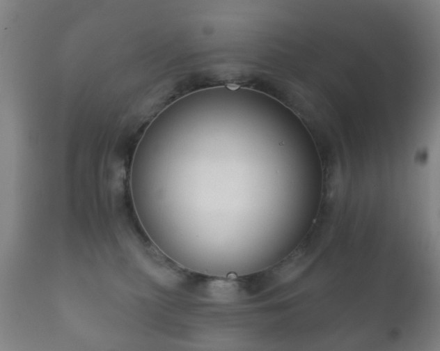 X0000112350279200908201447