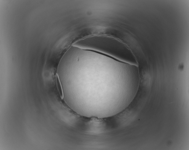 X0000112350280200908201447
