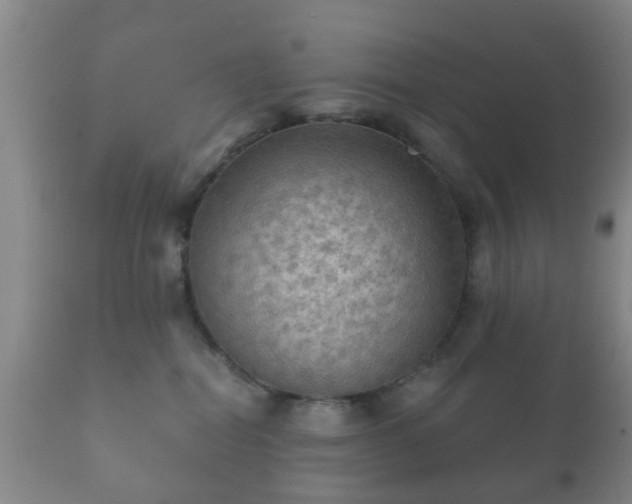 X0000112350282200908201447
