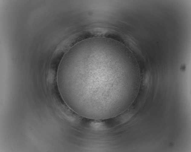 X0000112350283200908201447