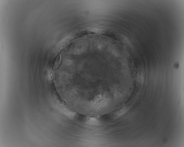 X0000112350285200908201447