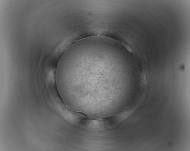 X0000112350286200908201447
