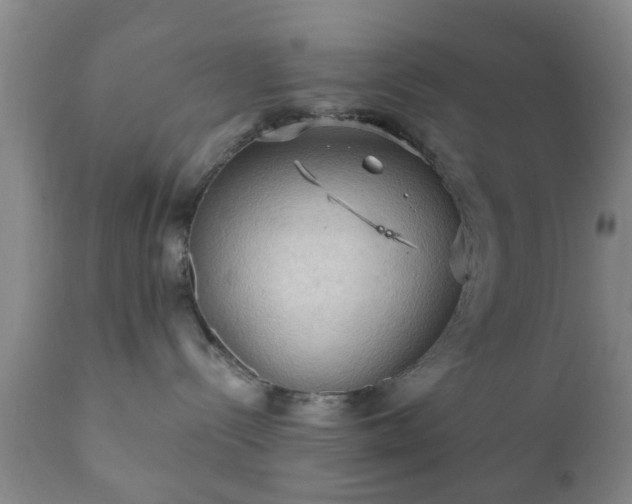 X0000112350288200908201447