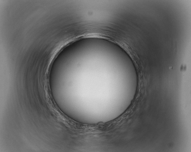 X0000112350289200908201446