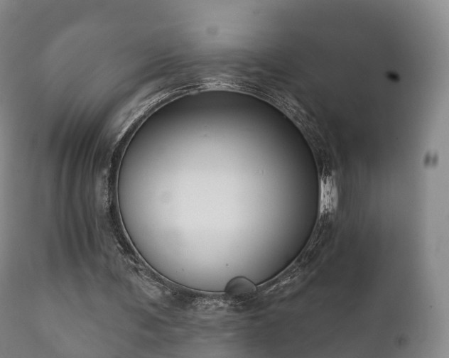 X0000112350291200908201446