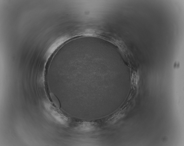 X0000112350292200908201446