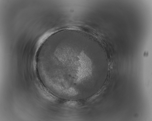 X0000112350294200908201446