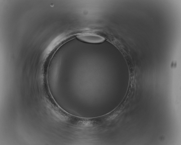 X0000112350295200908201446
