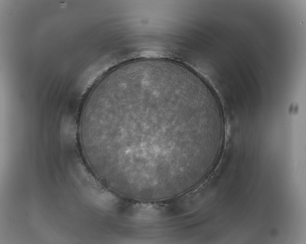 X0000112350297200908201446
