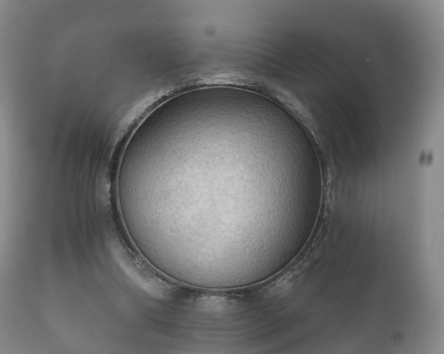 X0000112350298200908201446