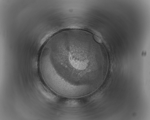 X0000112350299200908201446
