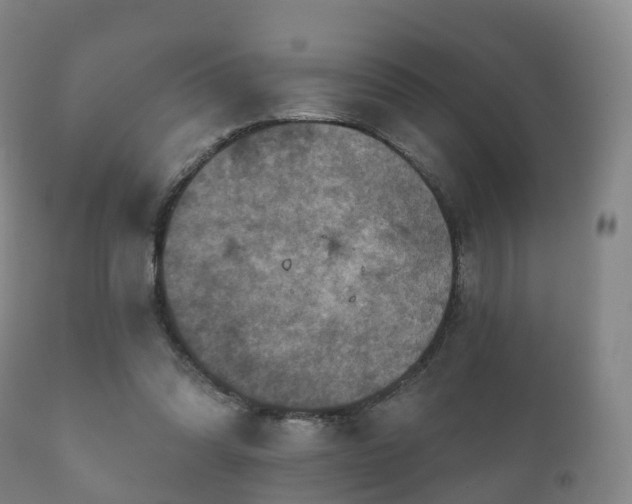 X0000112350302200908201446