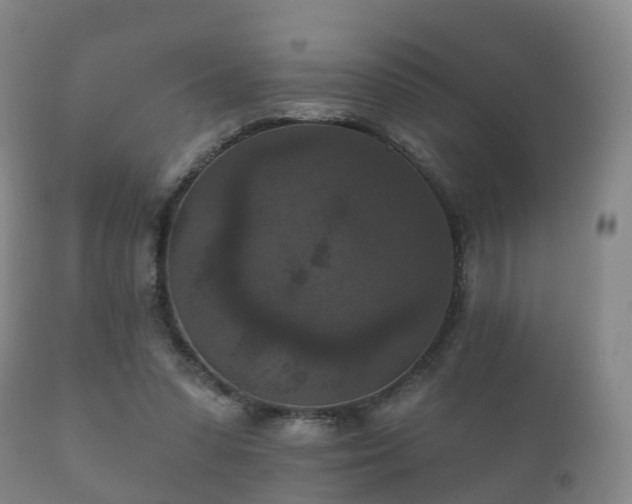 X0000112350303200908201446