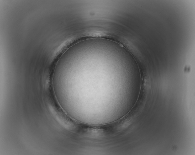 X0000112350304200908201446