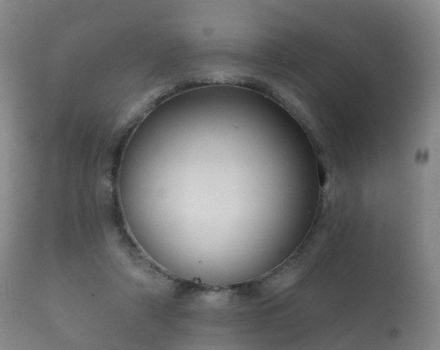 X0000112350306200908201446