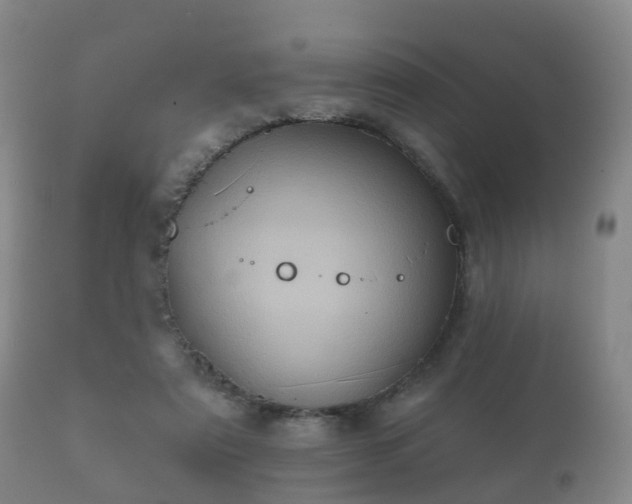 X0000112350307200908201446