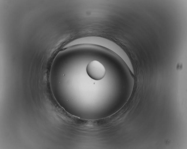 X0000112350308200908201446