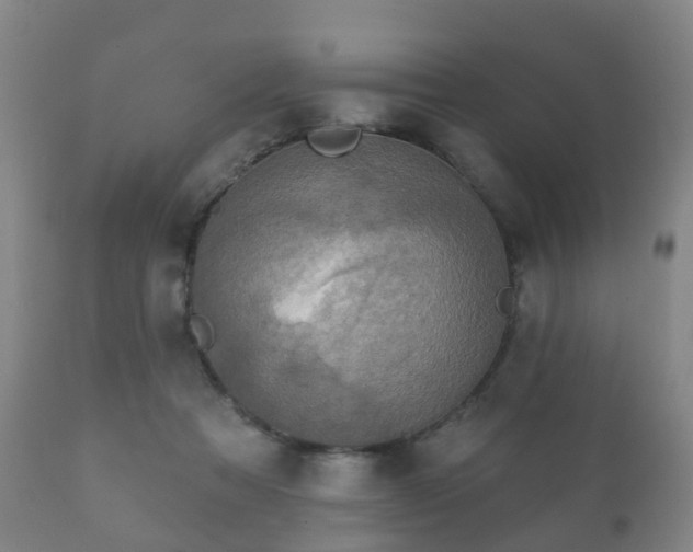 X0000112350313200908201446