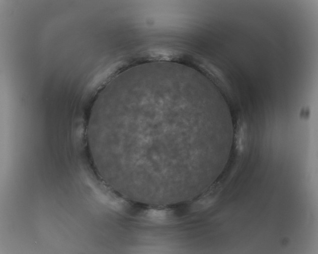 X0000112350314200908201446