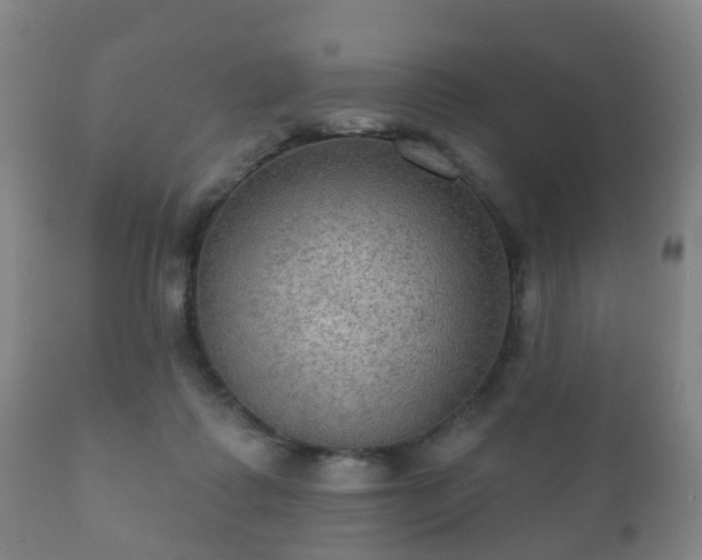 X0000112350315200908201446