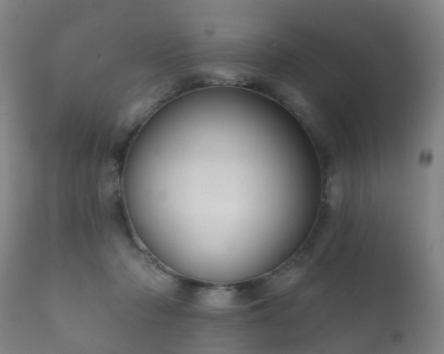 X0000112350318200908201446