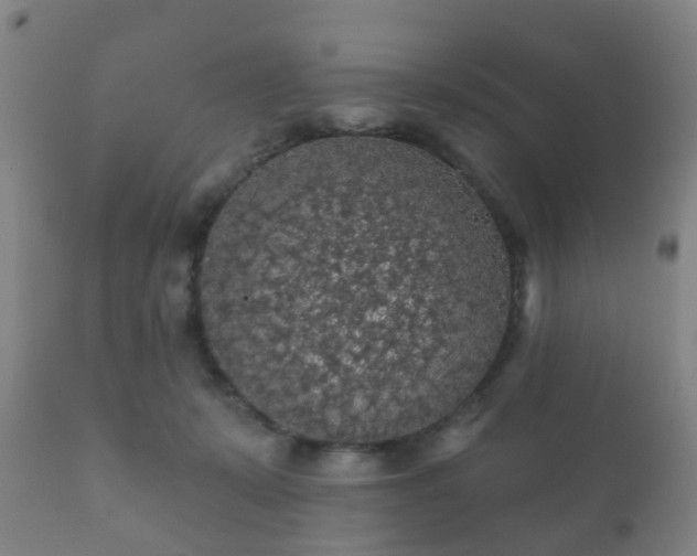 X0000112350319200908201446