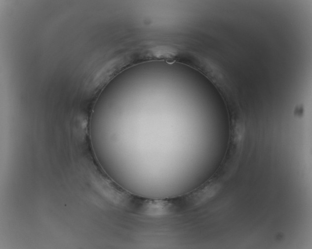 X0000112350321200908201446