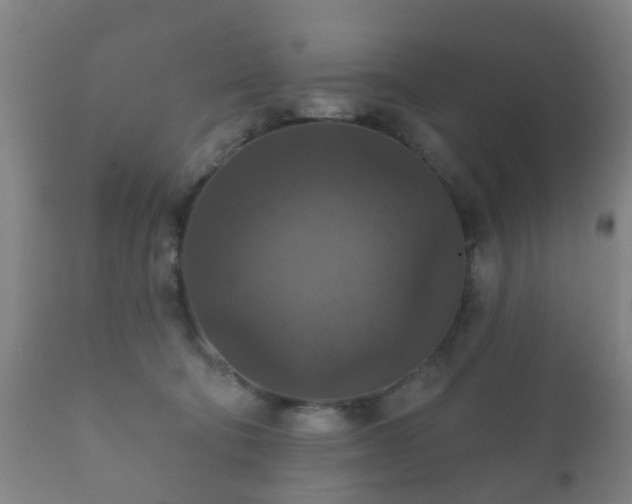 X0000112350322200908201446