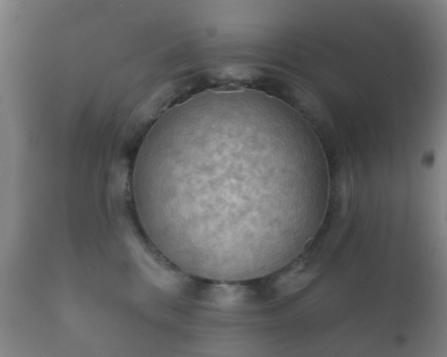 X0000112350328200908201446