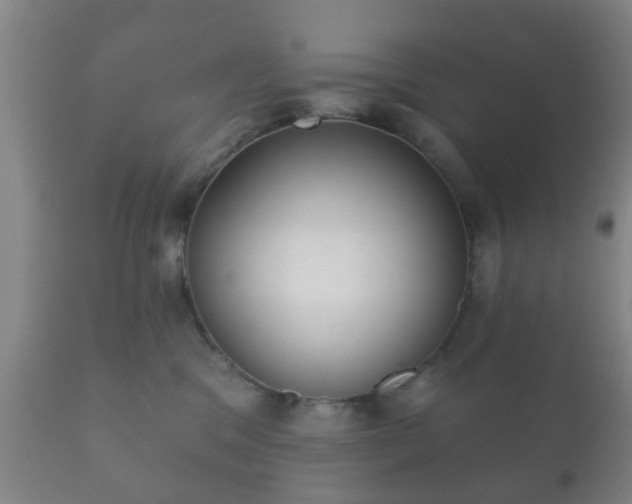 X0000112350329200908201446