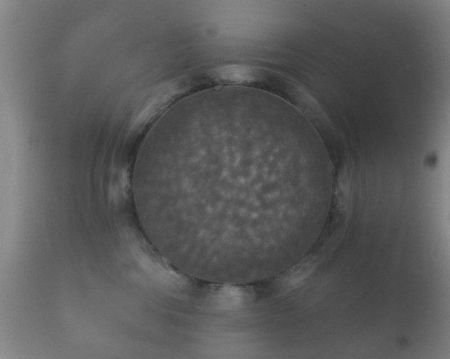 X0000112350330200908201446