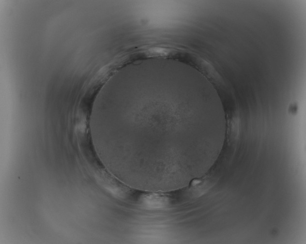 X0000112350331200908201445