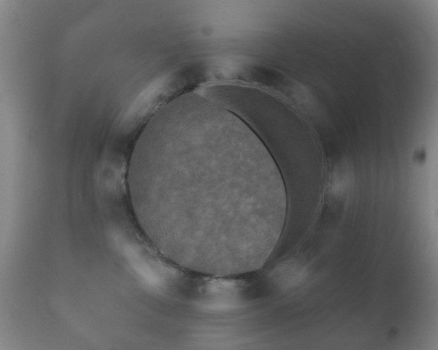 X0000112350332200908201445