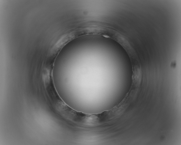 X0000112350333200908201445