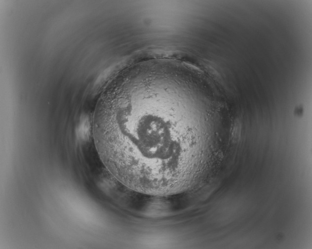 X0000112350335200908201445