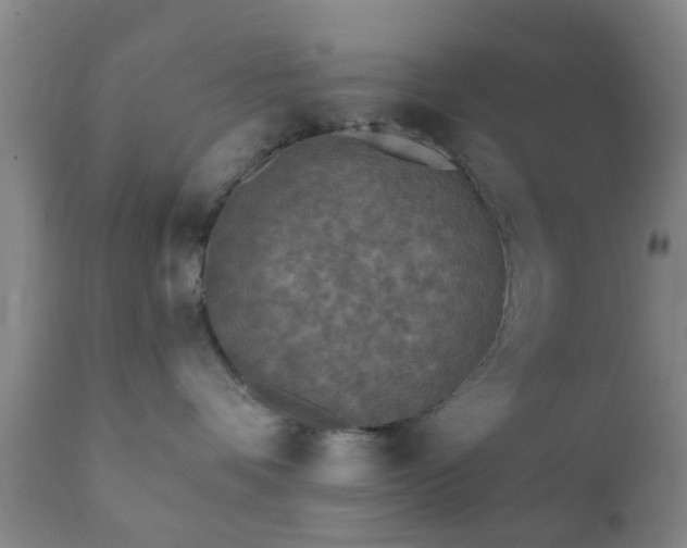X0000112350336200908201445