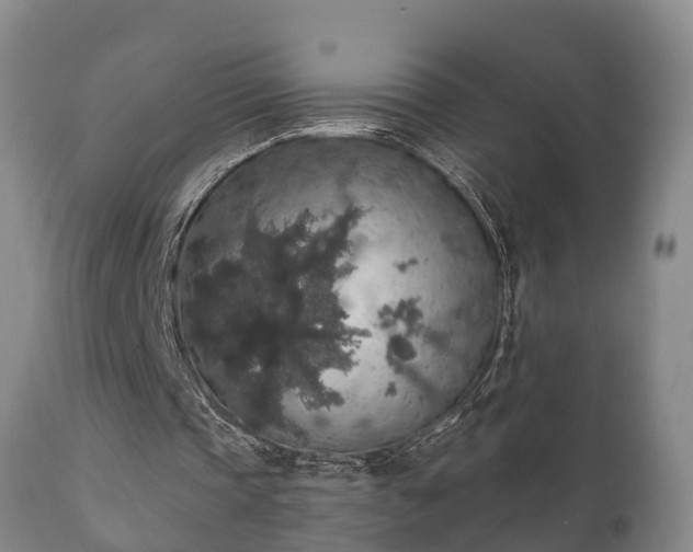 X0000112350337200908201445