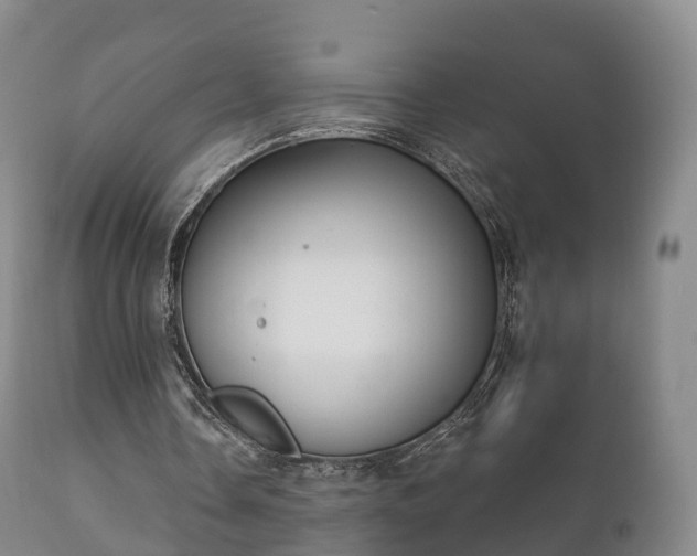 X0000112350338200908201445