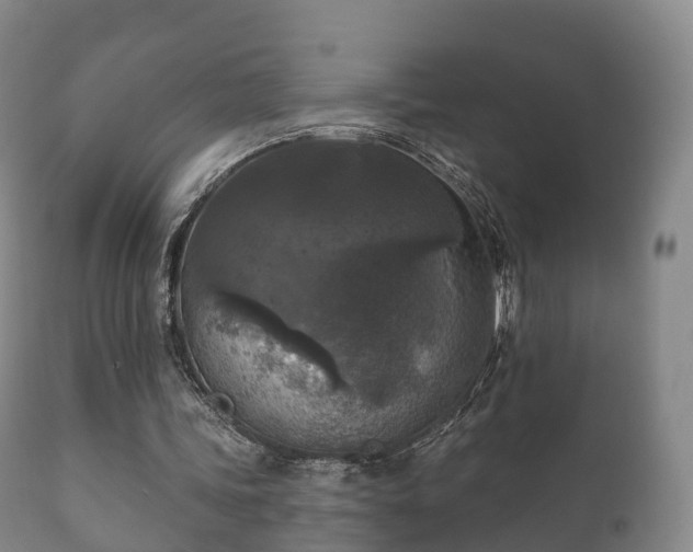 X0000112350339200908201445