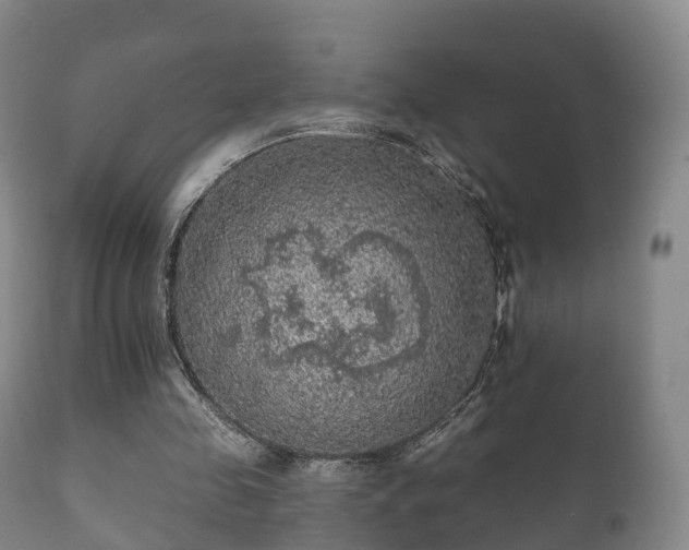 X0000112350341200908201445