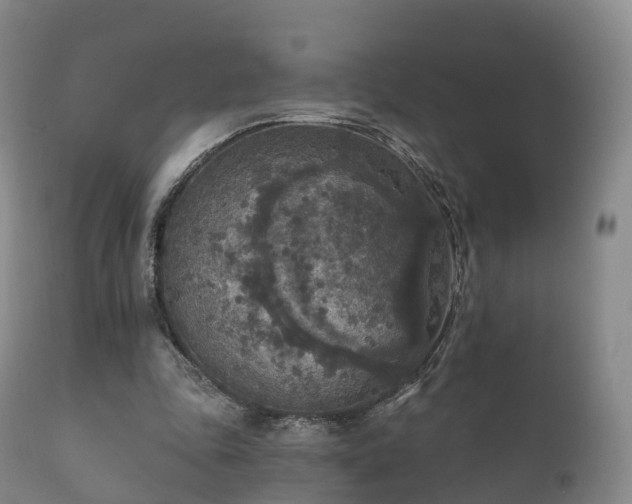 X0000112350343200908201445
