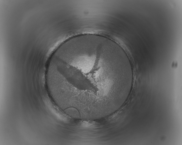 X0000112350346200908201445