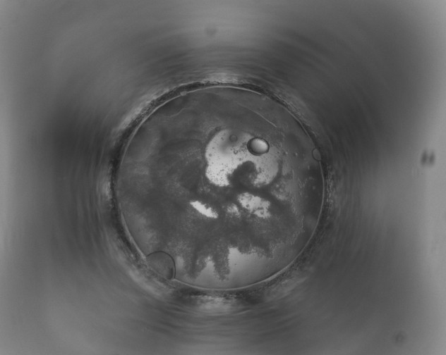 X0000112350347200908201445