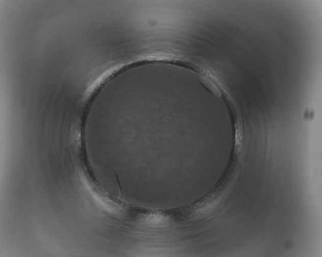 X0000112350348200908201445