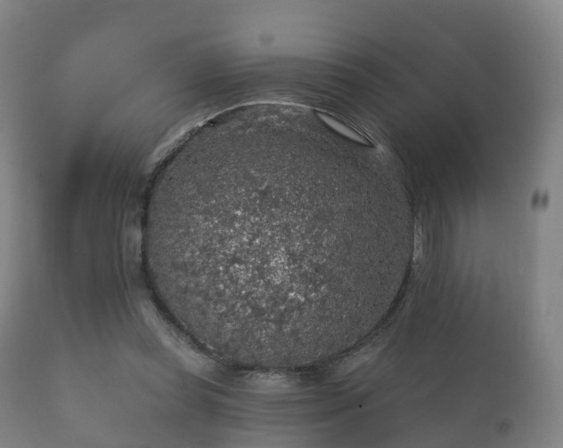 X0000112350349200908201445